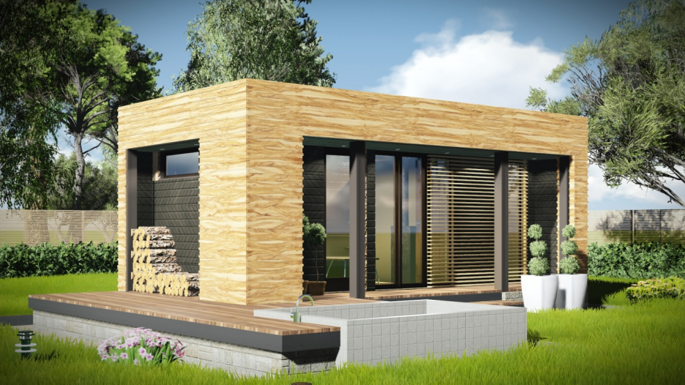 Проект современной бани