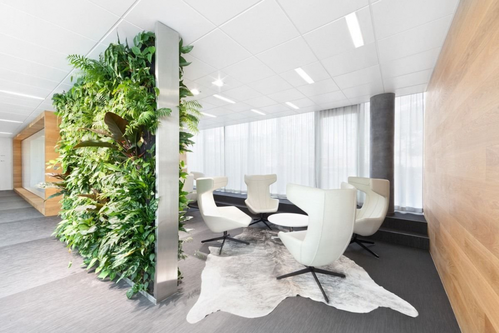 Дерево в интерьере офиса