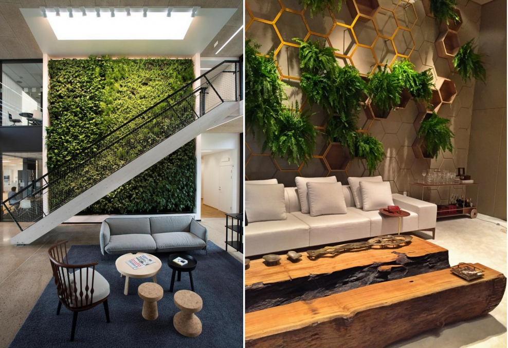 Biophilic Design