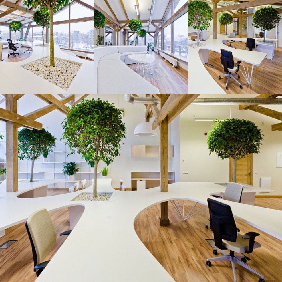 Офис в стиле эко