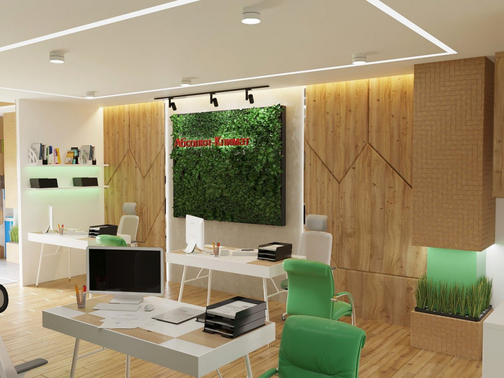 Интерьер офиса в эко стиле
