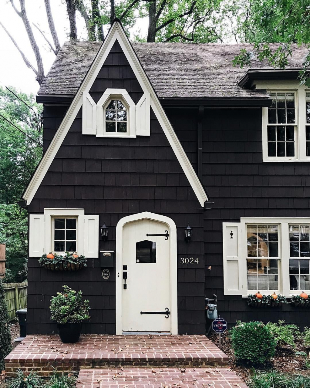 Tiny House с односкатной крышей