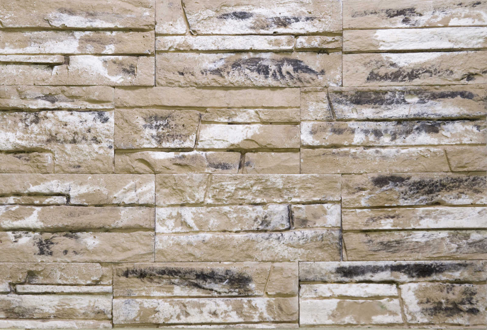 Плитка гипсовая Casavaga