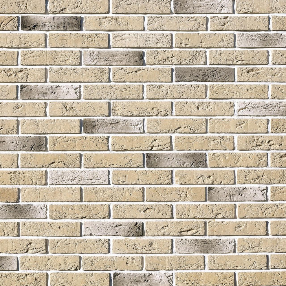 Leonardo Stone Дижон 052