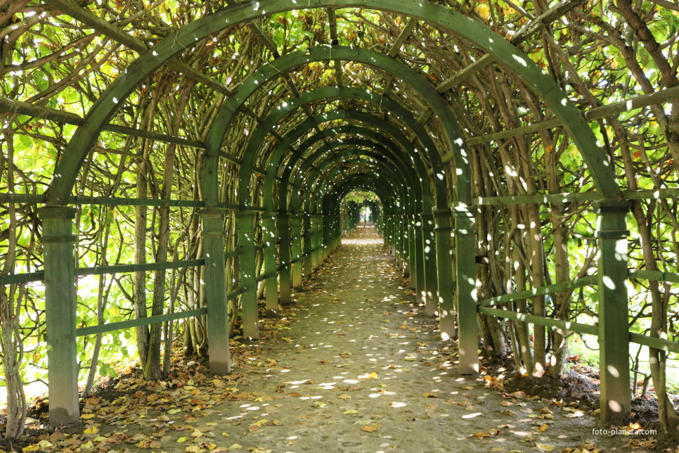 Пергола Берсо