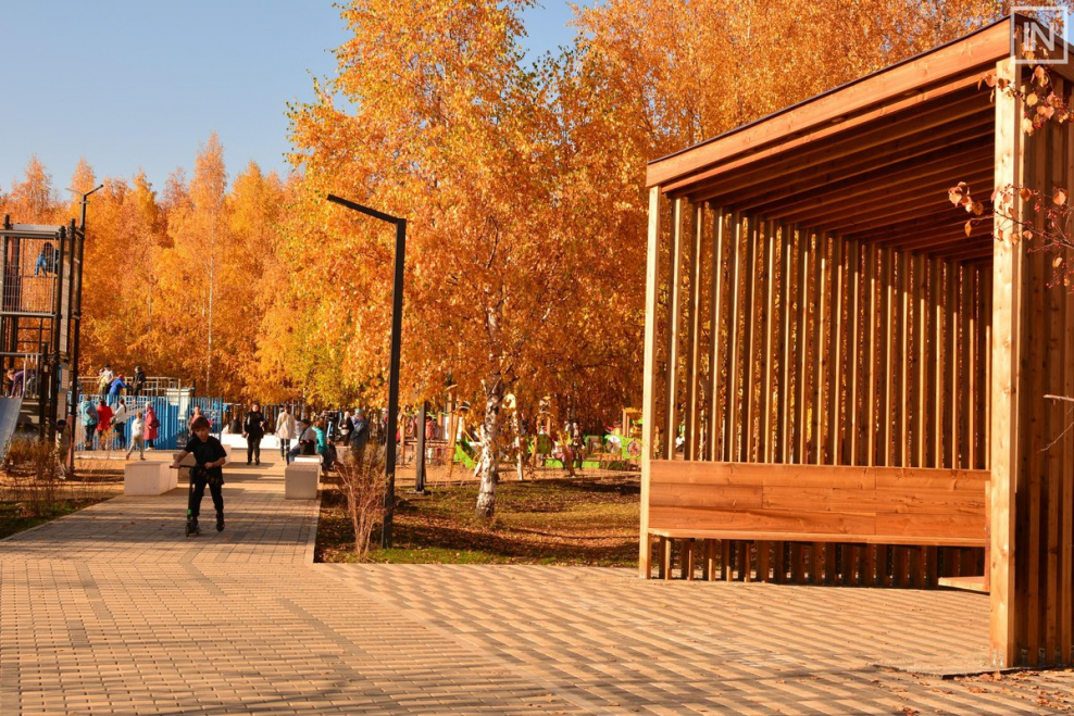 Перголы арки для винограда