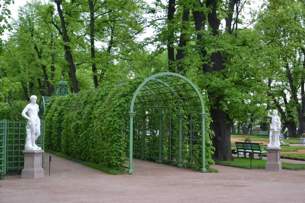 Берсо биндаж