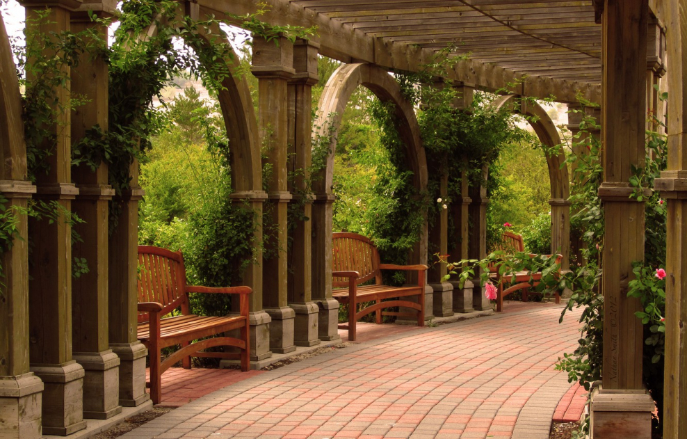 Кузьминки парк Перовский парк