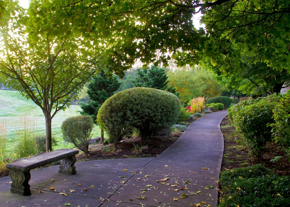 Аллея Берсо в Санкт-Петербурге