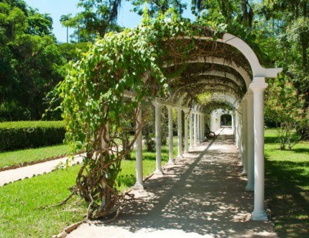 Пергола в тенистом саду