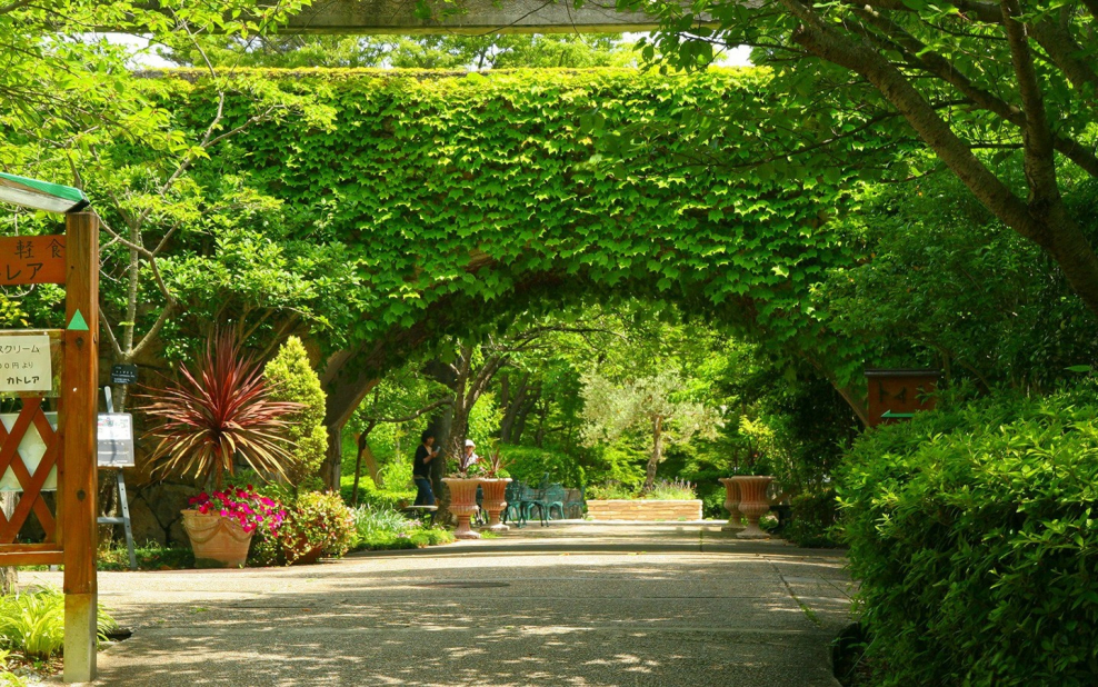 Гарден бьютифул