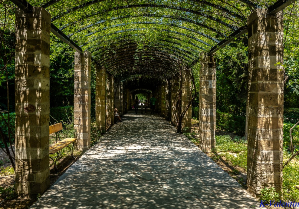 Боскеты в ландшафтном дизайне