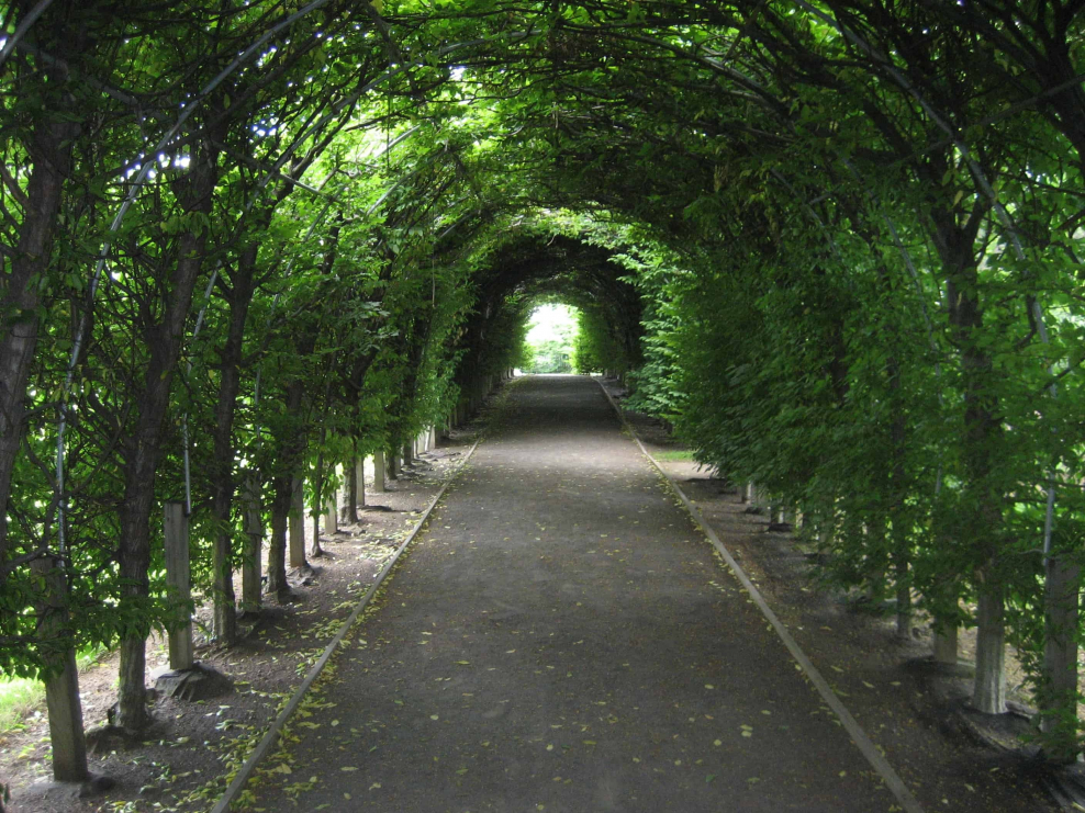 Широкая улица утопающая в зелени