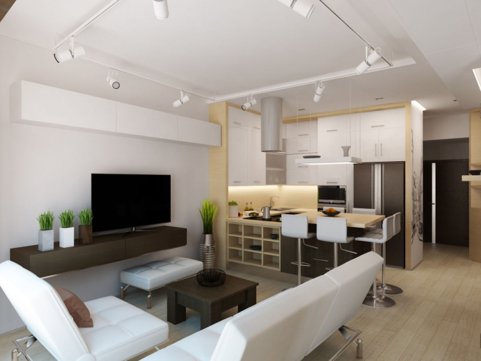 Кухня студия с гостиной 25 кв