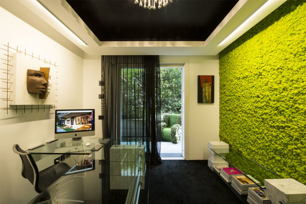 Фитостена мох стабилизированный