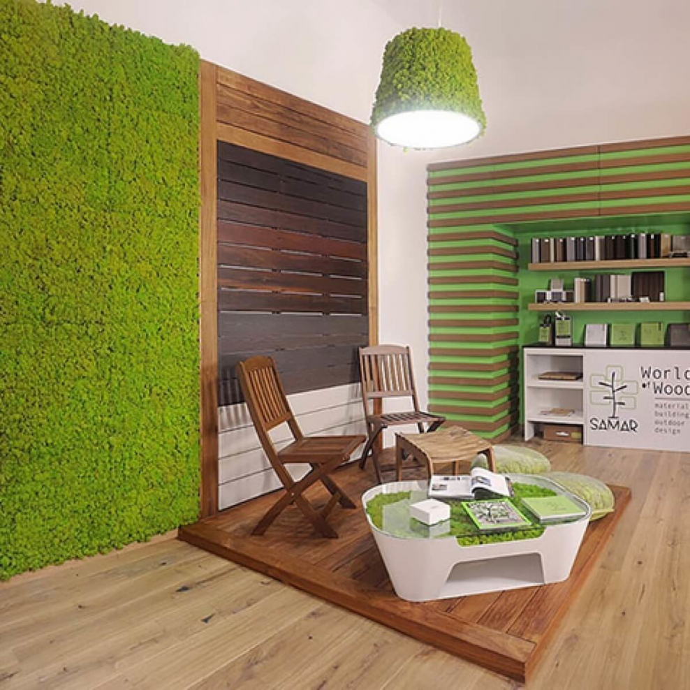 Газон на стене в интерьере