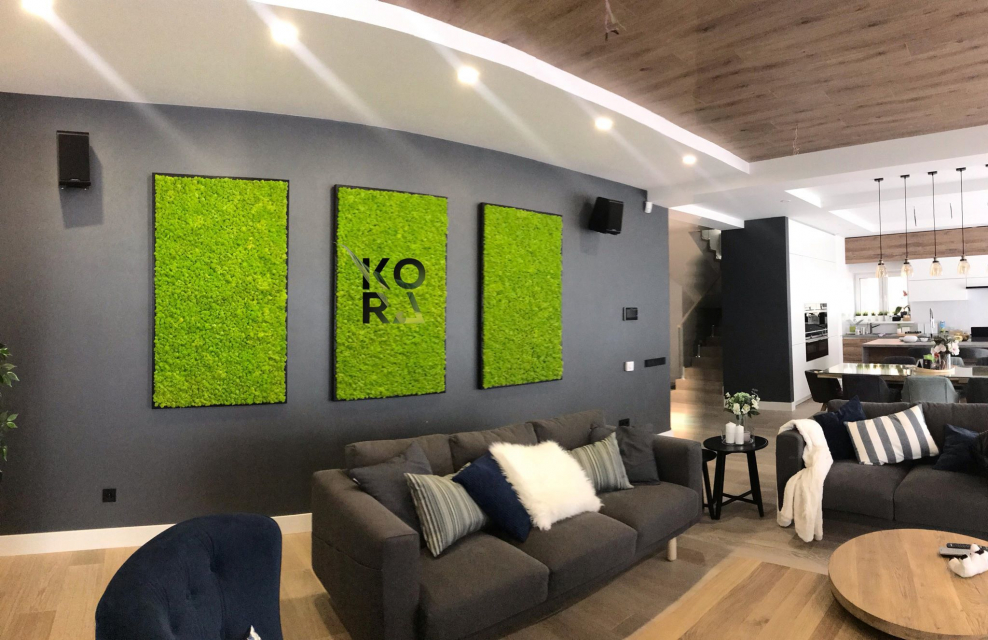 Стабилизированный мох в интерьере жилом