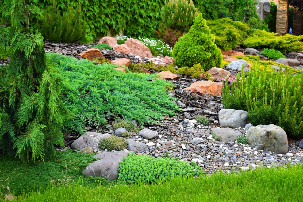 Каменистые сады Альпийская горка