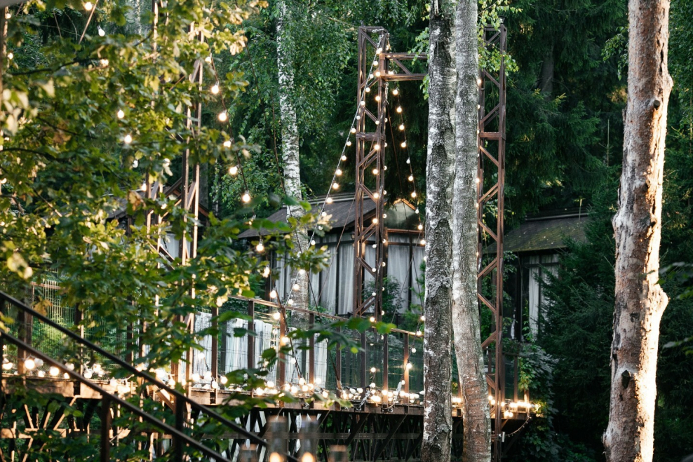 Воронино Борский район Нижегородская область