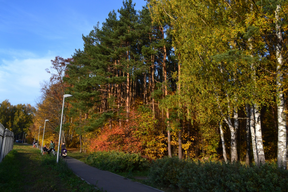 Резиденция в Кондрице