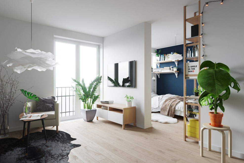 Растения в интерьере студии