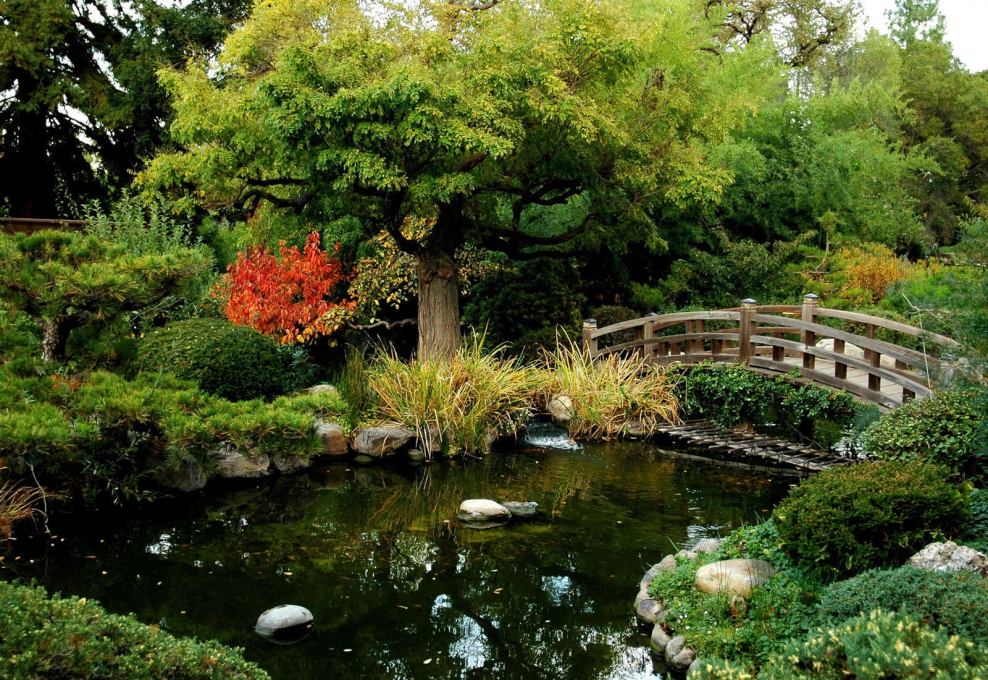 Японский сад setagayapark