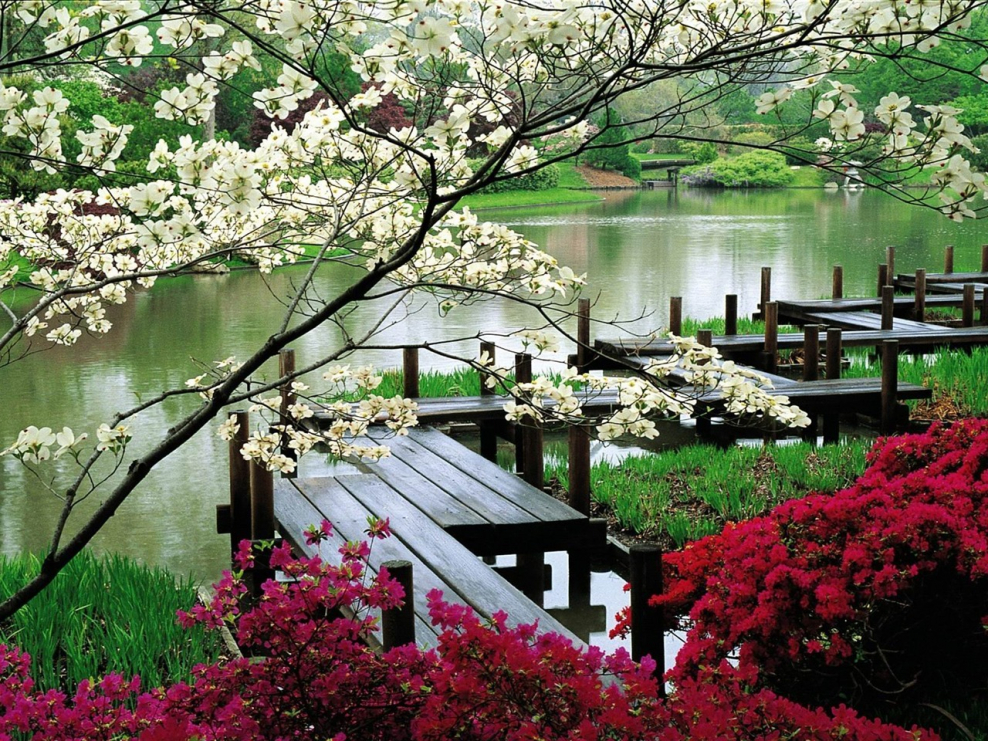 Телевизор Saturn led 19k New 19"