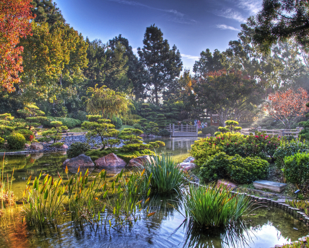 Хелен парк+ ландшафт