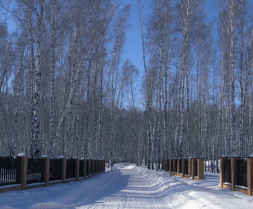 Продажа участков в ДНП Марусино НСО