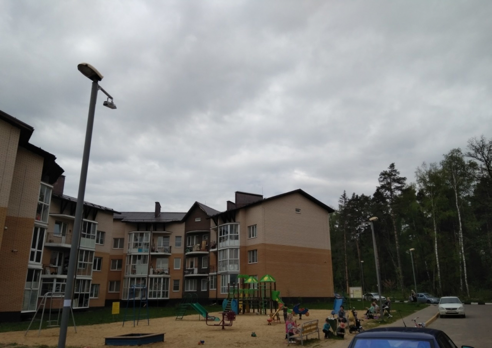 Павлино Форест