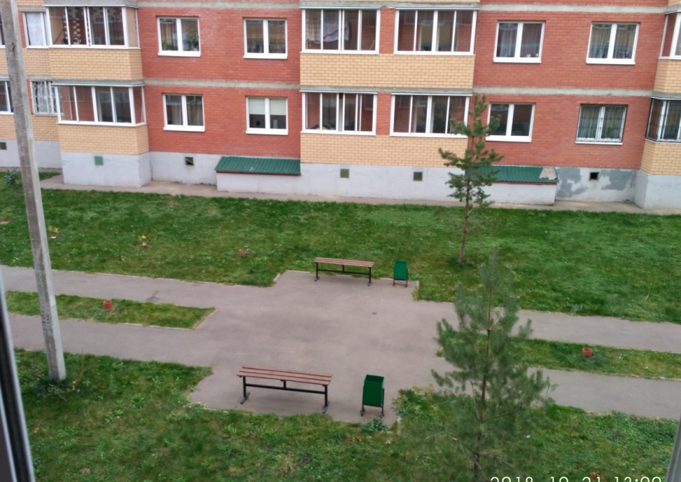 Некрасовка 2012