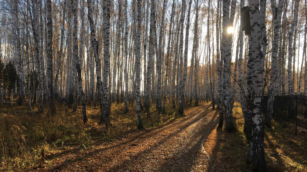 Д Марусино Люберецкий район