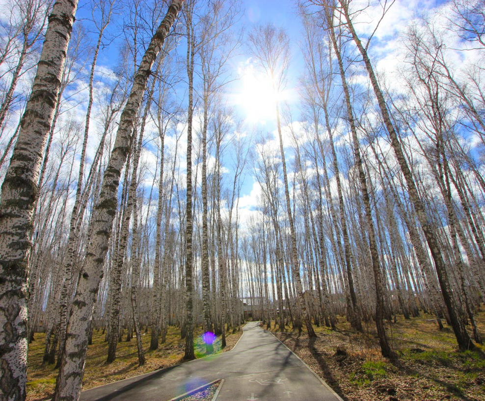 Марусино Солнечный