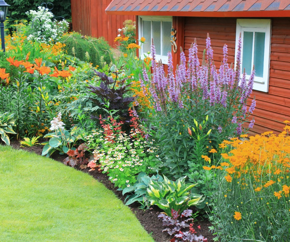 Миксбордеры в палисаднике