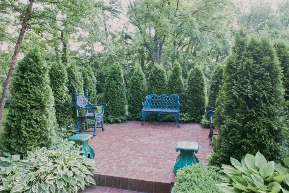 Туя Брабант в ландшафтном