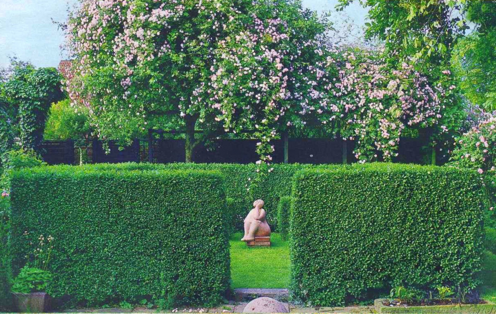 Английский сад зеленая изгородь