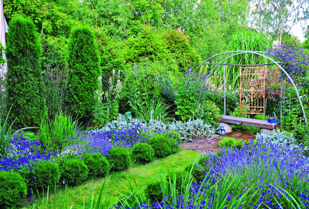 Сад Ирины Пыжиковой в Тярлево