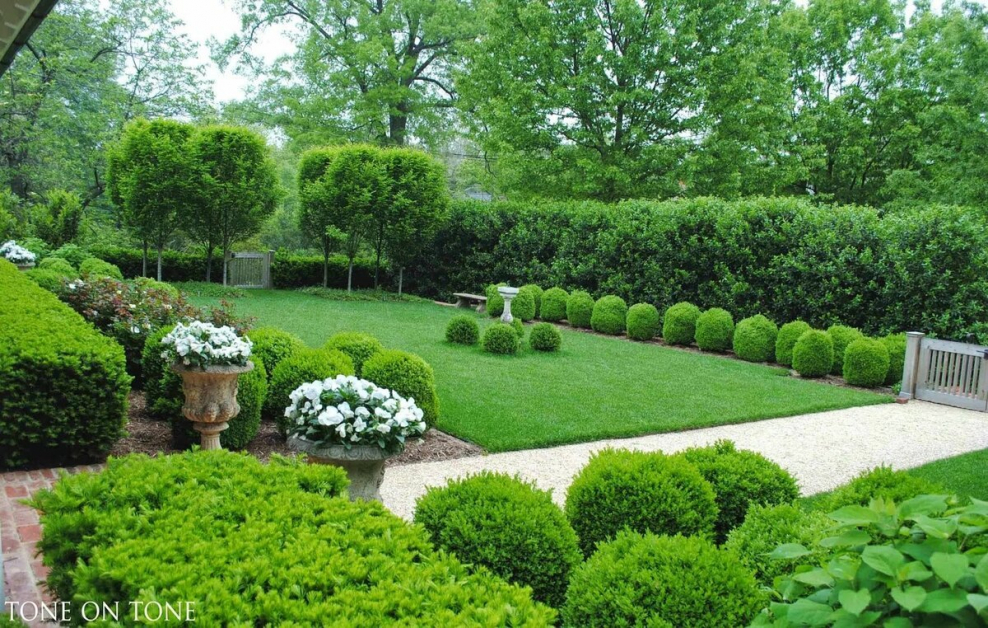 Сады Майендорф Александр Гривко