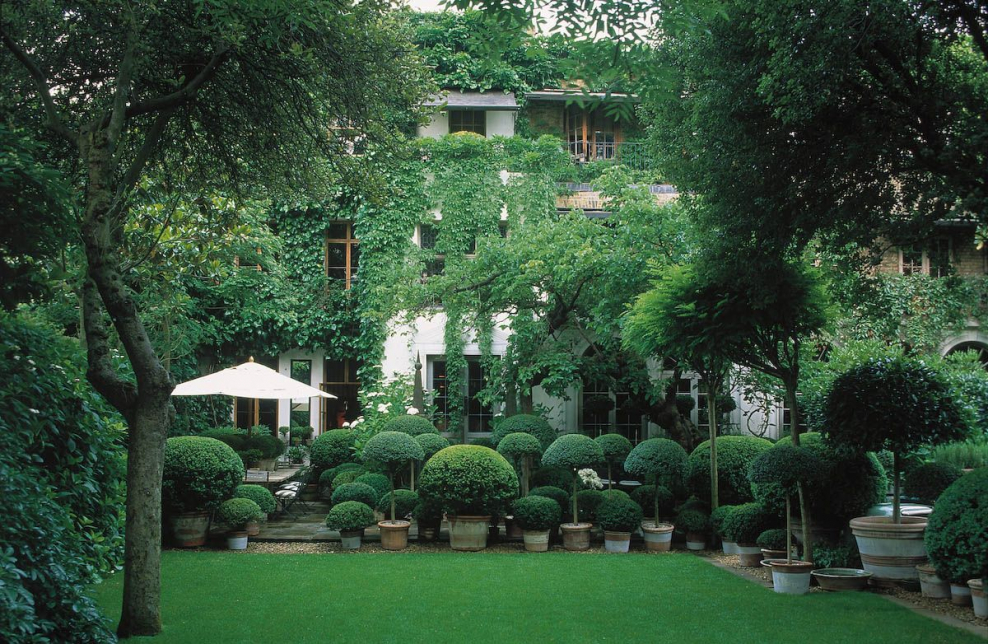 Зеленая комната в ландшафте