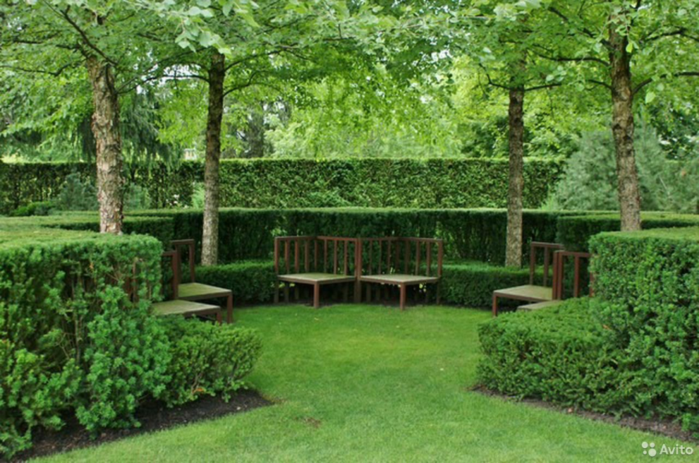 Боскеты в ландшафтном дизайне