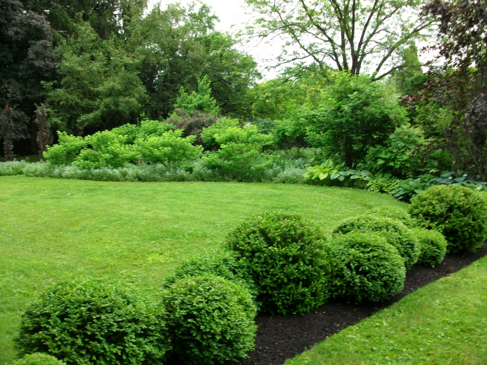 Сады с зелеными комнатами и солитерами