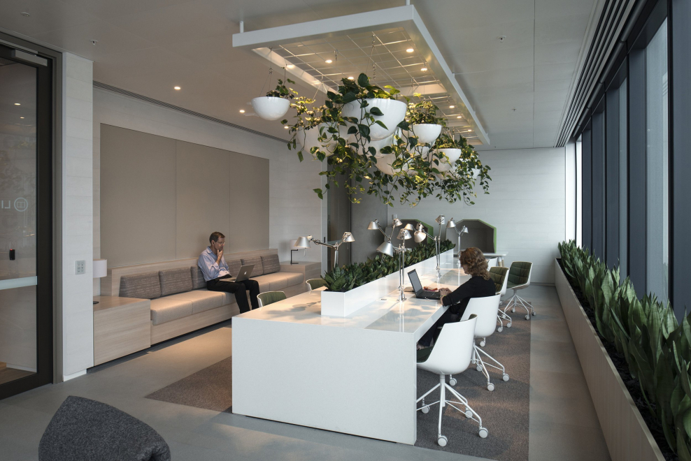 Отделка офиса