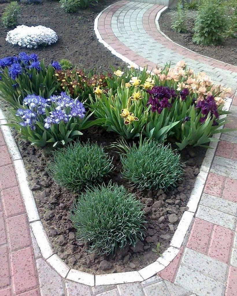 Клумбы, рокарии, рабатки