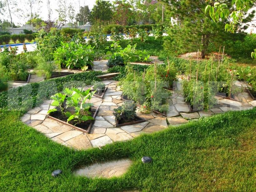 Благоустроить дачный участок