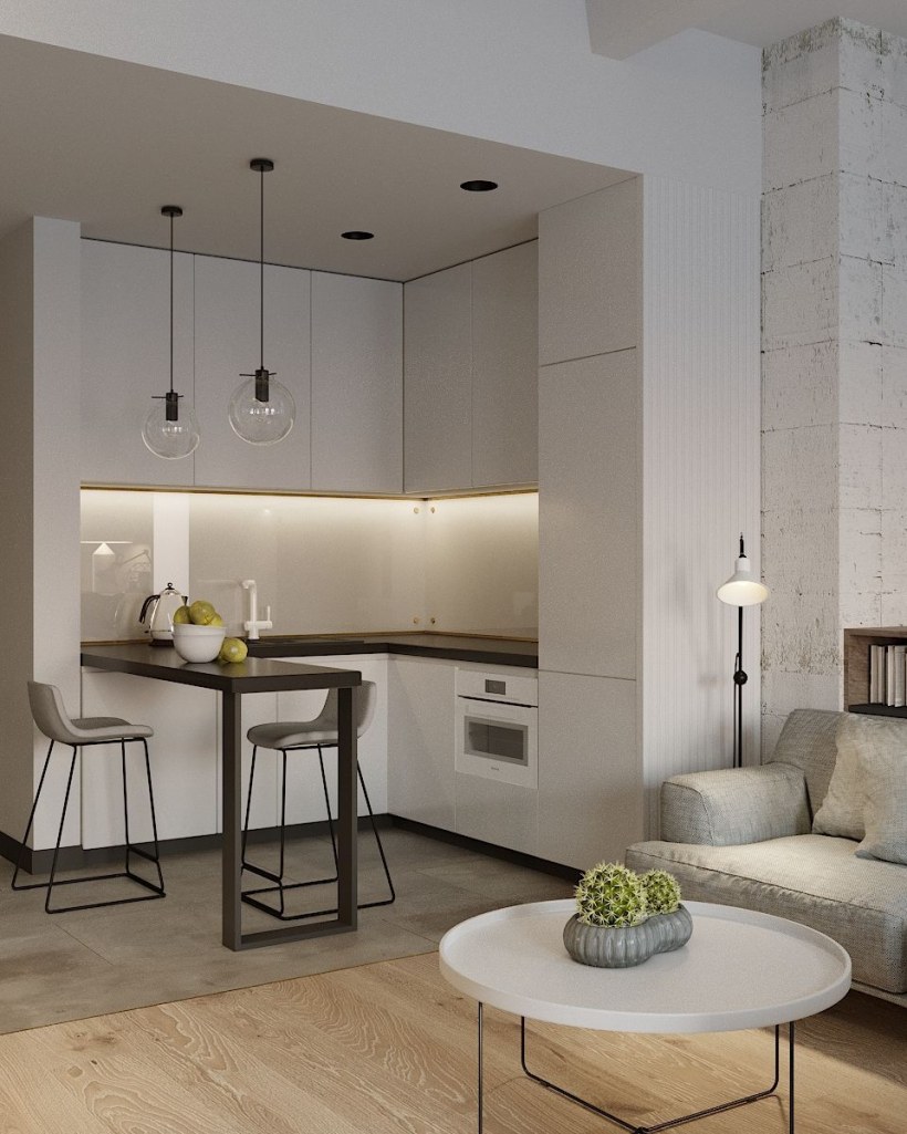 Зонирование кухни в студии 28 кв.м