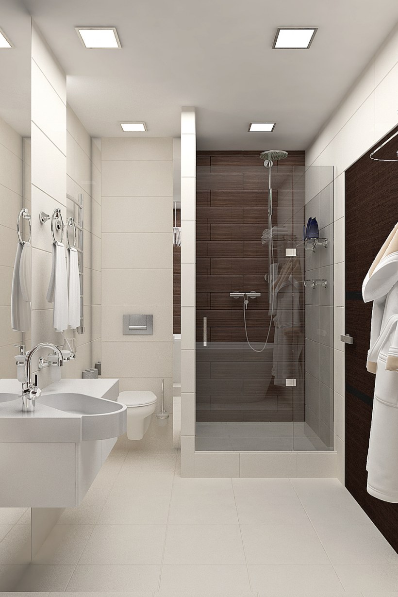 Совмещённый санузел с душевой