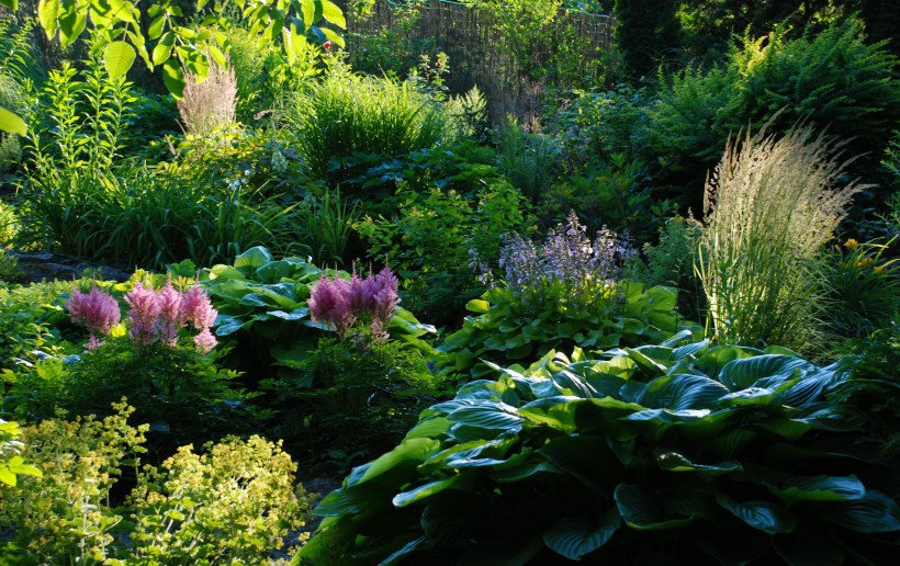 Клумба непрерывного цветения Весна-лето-осень