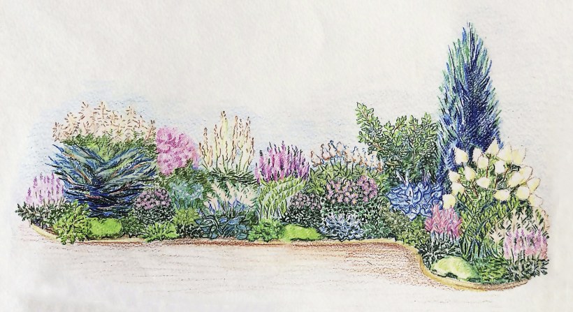 Миксбордер для солнечного места