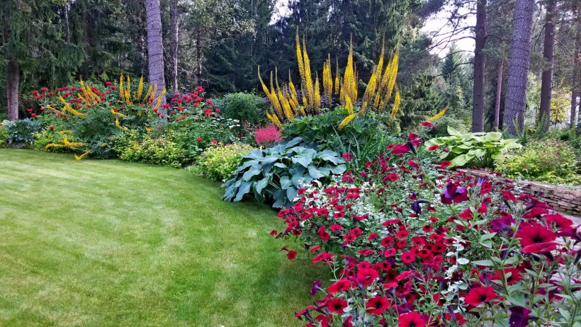 Цветник миксбордер