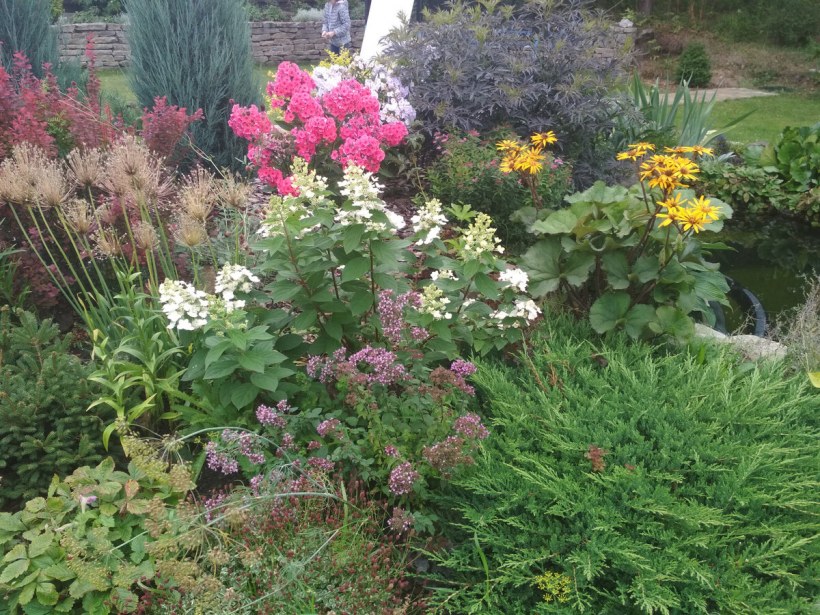 Миксбордер астильбы гейхеры хосты